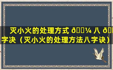 灭小火的处理方式 🐼 八 🕷 字决（灭小火的处理方法八字诀）